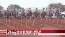Caballo murió en plena carrera