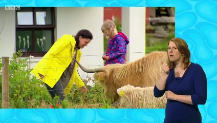 My Pet and Me S2 E20 Highland Cows