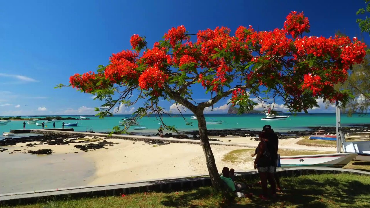 Mauritius - Die Fernwehmacher unterwegs im Tropenparadies | movie | 2024 | Official Trailer