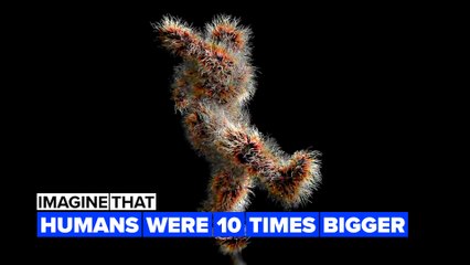 Imagine human body size suddenly increased 10 times