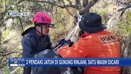 Pencarian Satu Pendaki Jatuh di Gunung Rinjani, Tim Penyelamat Turun ke Jurang