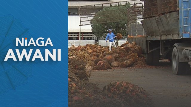 Niaga AWANI: Niaga hadapan MSM dijangka diniaga dengan kecenderungan menaik minggu ini