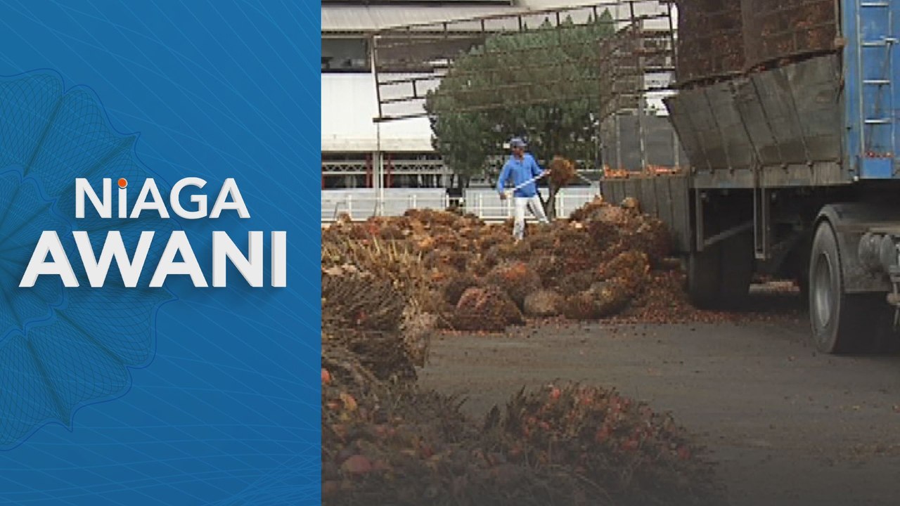 Niaga AWANI: Niaga hadapan MSM dijangka diniaga dengan kecenderungan menaik minggu ini