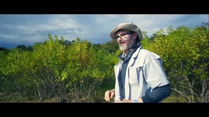 Bull Shark _ Full Movie _ Action Horror _ Killer Shark!y