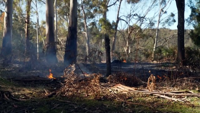 Firesticks group teaches Aboriginal cultural burning practices to help Tasmanians maintain country