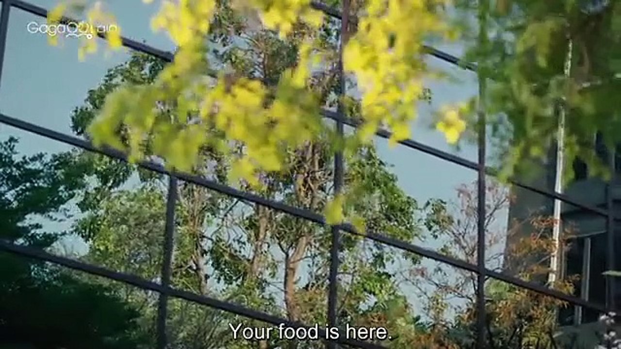 Every Y0u, Every Me EP1 Eng Sub