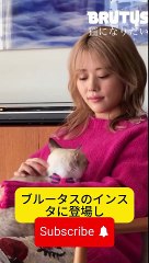 高畑充希、金髪ヘアで愛猫とほっこり動画！