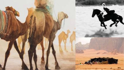 قصة وقصيدة الشيخ سعدون العواجي قناة علي الفرهود
