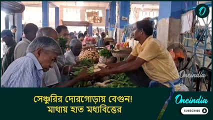 সেঞ্চুরির দোরগোড়ায় বেগুন! মাথায় হাত মধ্যবিত্তের, পুজোর মুখে লোকসান চাষিদের
