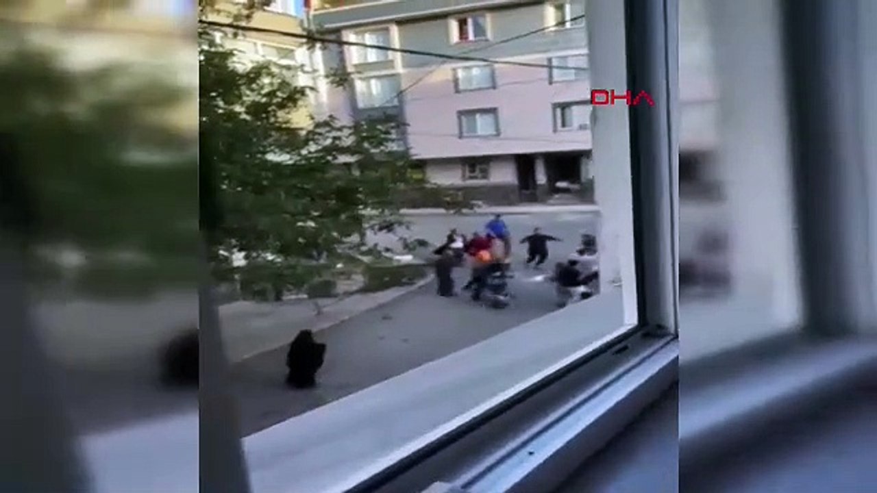 Ceviz kavgasında ortalık savaş alanına döndü