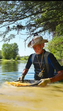 La ruée vers l'or des rivières françaises