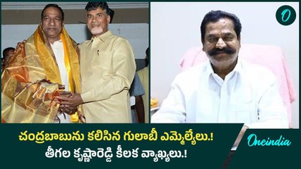 చంద్రబాబును కలిసిన గులాబీ ఎమ్మెల్యేలు.! తీగల కృష్ణారెడ్డి కీలక వ్యాఖ్యలు.! | Oneindia Telugu
