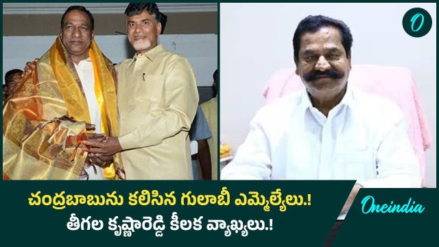 చంద్రబాబును కలిసిన గులాబీ ఎమ్మెల్యేలు.! తీగల కృష్ణారెడ్డి కీలక వ్యాఖ్యలు.! | Oneindia Telugu