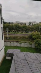 Test Title - thumbnail