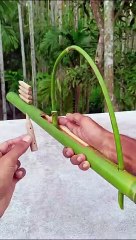 Bamboo Creations with new Slingshots _bamboo _Diy _Toy(360P)