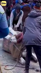 Visiting a Sacred Place || Acharya Prashant