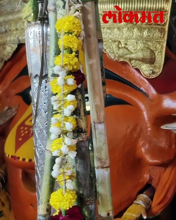 नवरात्रीच्या पाचव्या दिवशी माहूरगडावरील नवरात्रोत्सव आणि श्री रेणुका देवीचे भव्य रूप..