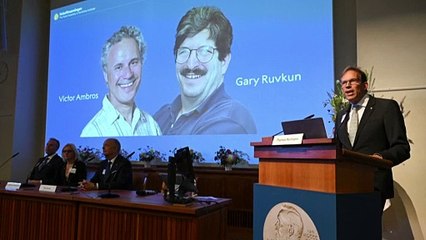 Medizin-Nobelpreis geht an RNA-Forscher aus den USA