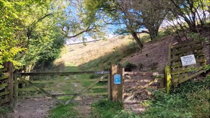 Circular walk from The George pub at Burpham with glorious views to Arundel Castle and the sea