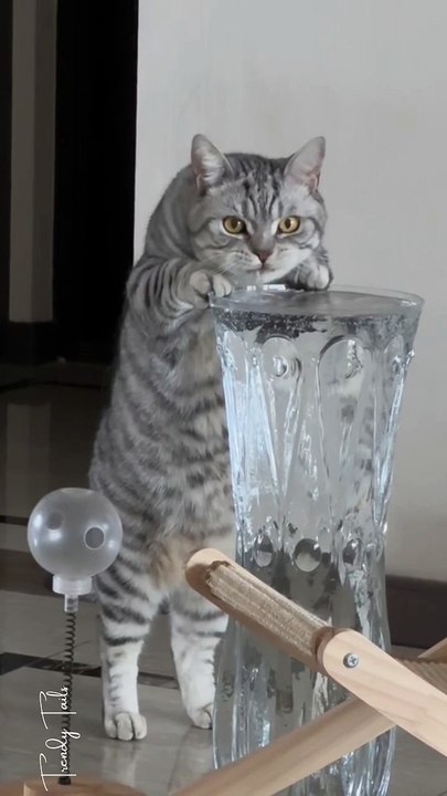 It's Time To Drink Water