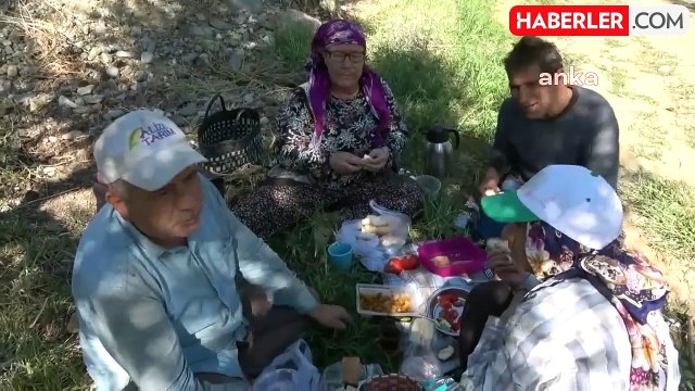 Zeytin Üreticisi İsyan Etti: Bugün Zeytin Üreticisi Umutlu Da, Mutlu da Değildir
