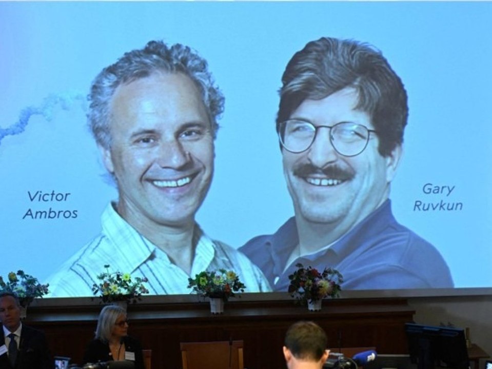 Nobelpreis für Medizin geht an die Entdecker der "MicroRNA"