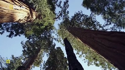 Documental. Los grandes parques de  América- Yosemite