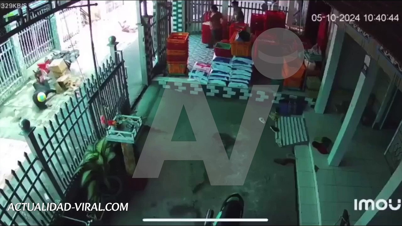 Video: ¡Un grito apagado! Una joven cayó de su motocicleta y perdió la vida