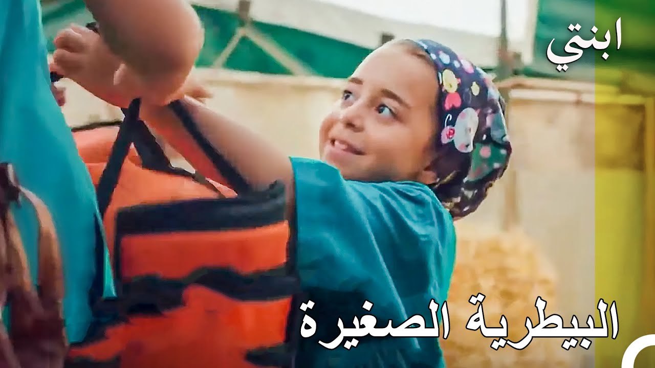 قصة أويكو #7 ; تقوم أويكو وجاندان بعلاج الأحصنة...