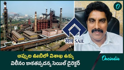 అప్పుల ఊబిలో విశాఖ ఉక్కు.. విలీనం కాకతప్పదన్న సెయిల్ డైరెక్టర్ | Oneindia Telugu