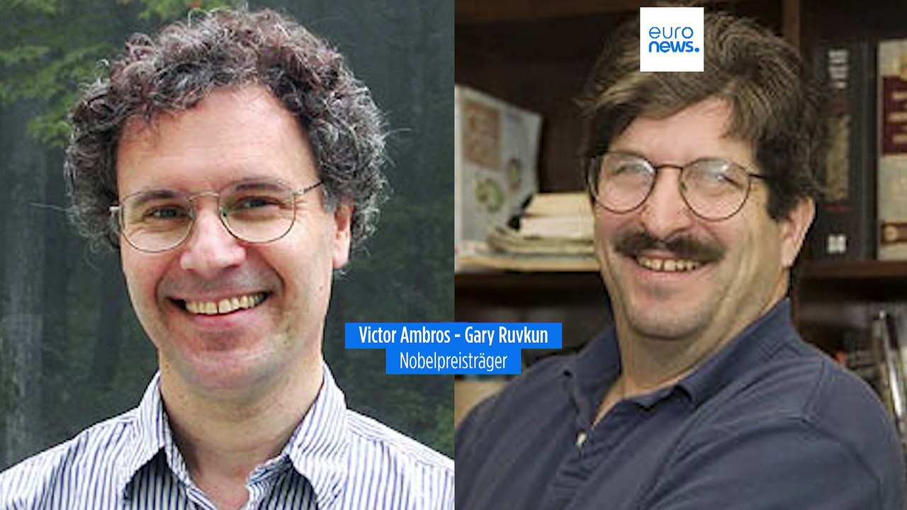 Medizin-Nobelpreis geht an Victor Ambros und Gary Ruvkun für Entdeckung der microRNA