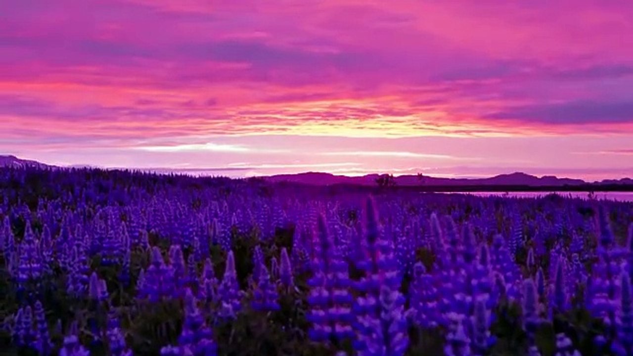iceland