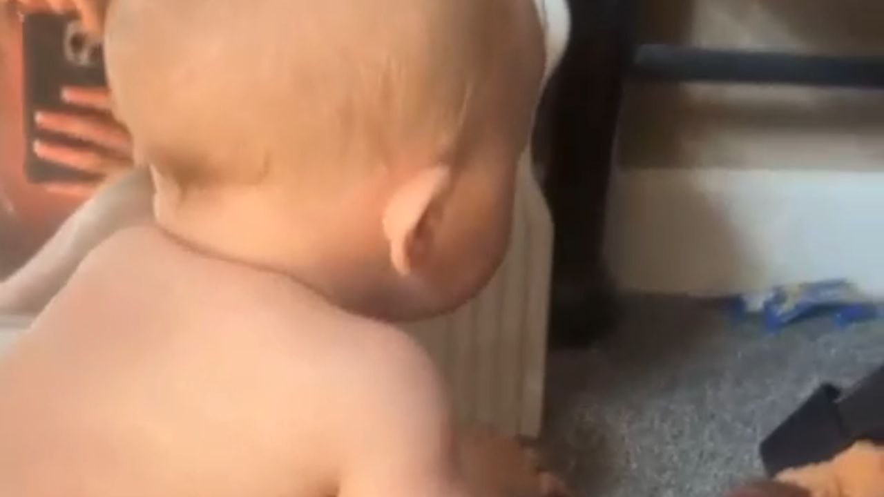 Toddler farts instead of crying after his sister screams during their playtime