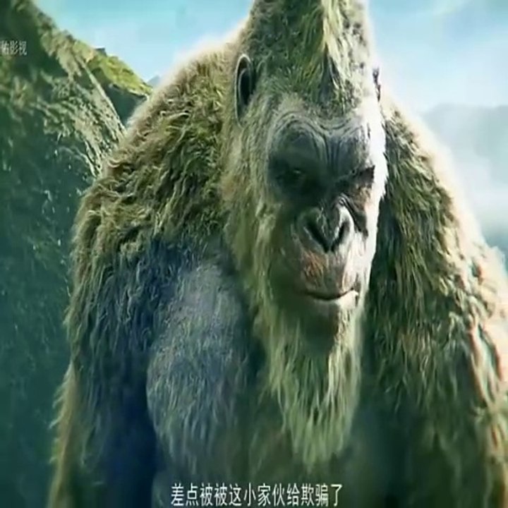 Jungle king