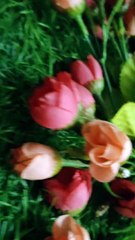 Ampacy: Your Go-To Source for Creative and Functional Websites