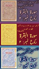 Surah Al-Baqarah, Ruku:02, Verse:8-20 | hafiz salman ali | Quran | Tilawat | Para1