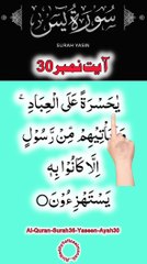 Al-Quran - Surah 36 - Yaseen - Ayah 30 | daily tilawat quran | hafiz salman ali