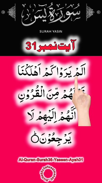 Al-Quran - Surah 36 - Yaseen - Ayah 31 | daily tilawat quran | hafiz salman ali