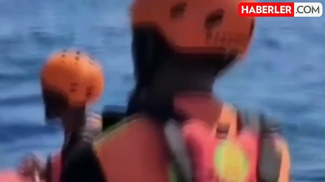 Endonezya'da köpek balığı, dalış yapan 68 yaşındaki kadın Amerikalı turisti parçaladı