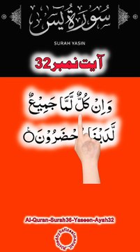 Al-Quran - Surah 36 - Yaseen - Ayah 32 | daily tilawat quran | hafiz salman ali