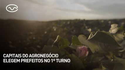Capitais do agronegócio elegem prefeitos no 1º turno