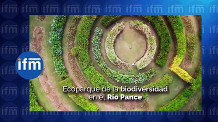 ¡No te pierdas el video oficial de la COP16 en Cali! 🌍
