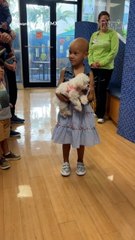 Child Cancer Patient Receives Maltese Puppy from Make-A-Wish Foundation