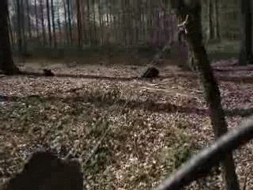 land arts 2