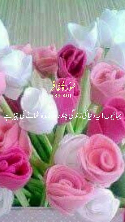 Very beautiful vedio