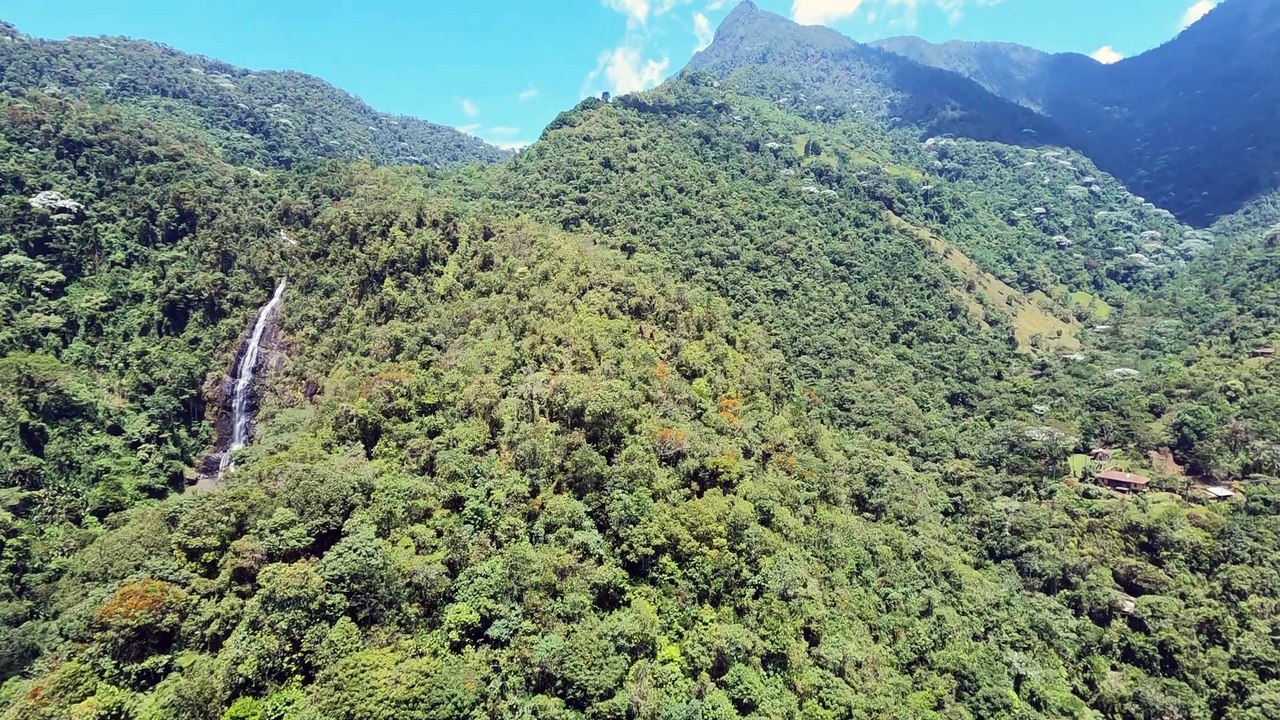 CALI_DONDE_DEBES_ESTAR_20SEGS_BIODIVERSIDAD_MP4