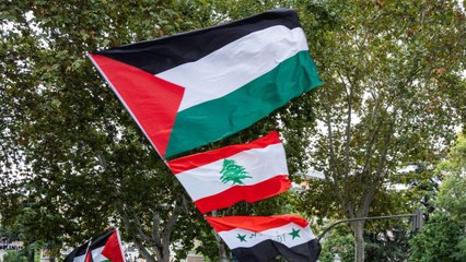 Varios manifestantes pro palestinos fueron detenidos y reducidos duramente por la policía nacional en la manifestación que tuvo lugar en Santiago el pasado sábado