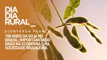 100 anos da soja no Brasil: importância do grão na economia e na sociedade brasileira