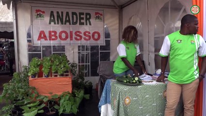 Région-Aboisso / Agriculture hors sol, quand l’ANADER propose une agriculture sans terre