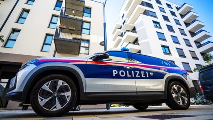 Télécharger la video: Mordverdacht: Toter in Wohnung in Wien-Favoriten gefunden